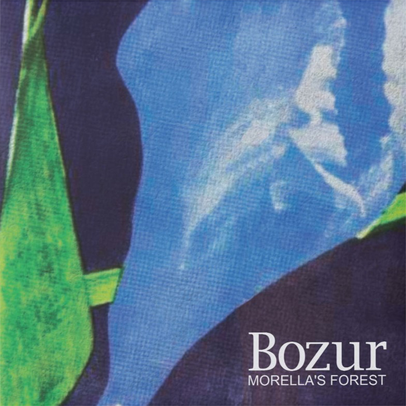 Pre-Order: Morella's Forest: Bass & Bozur Cassette Bundle